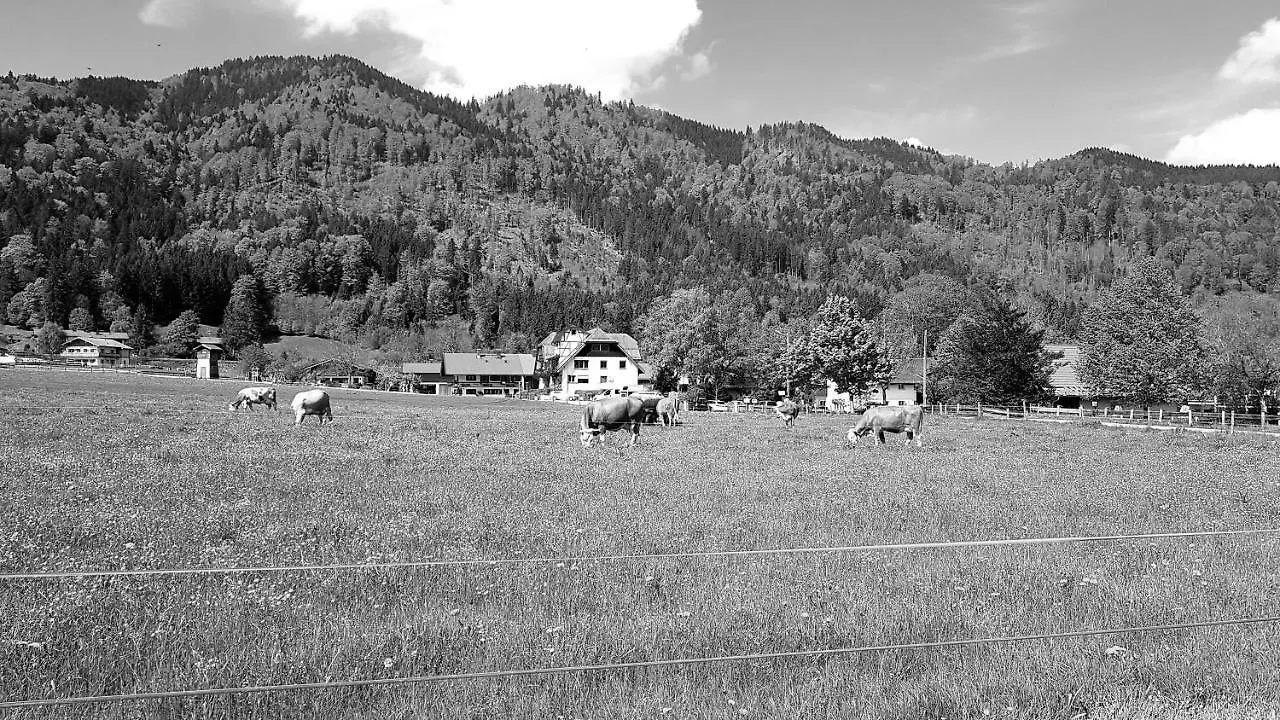 Bed & Breakfast S'Quartier Am Schliersee